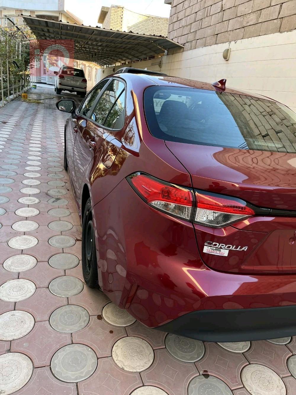 تويوتا كورولا